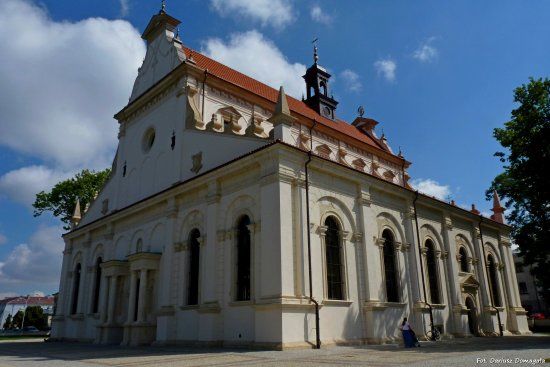 Katedra w Zamościu